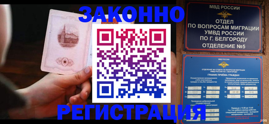 прописка 2025 в Павловском Посаде